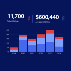 Ms-Excel Dashboards & Reporting
